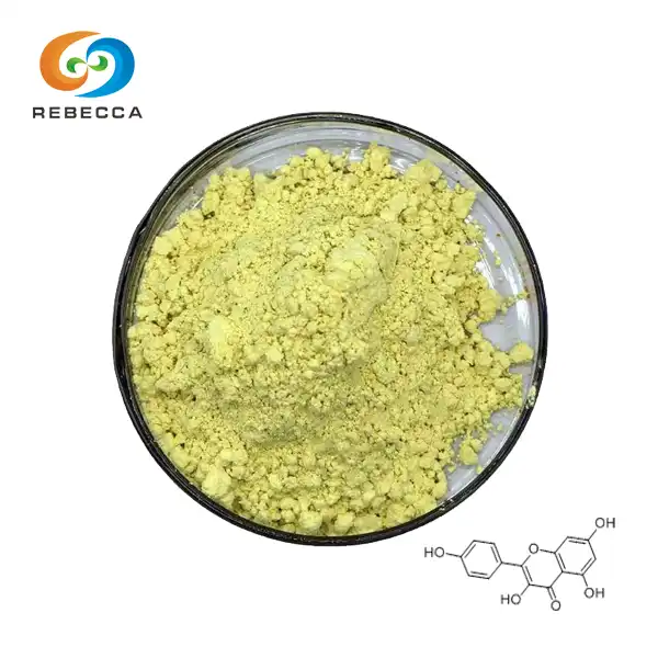 Kaempferol Extract​